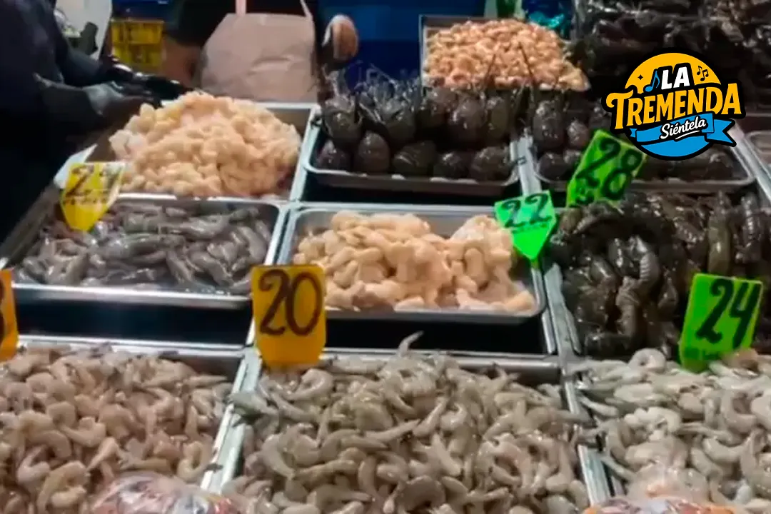 Radio La Tremenda - Semana Santa 2026: Precio del pescado se dispara en el terminal de Villa María del Triunfo ante el incremento de la demanda y oleajes anómalos
